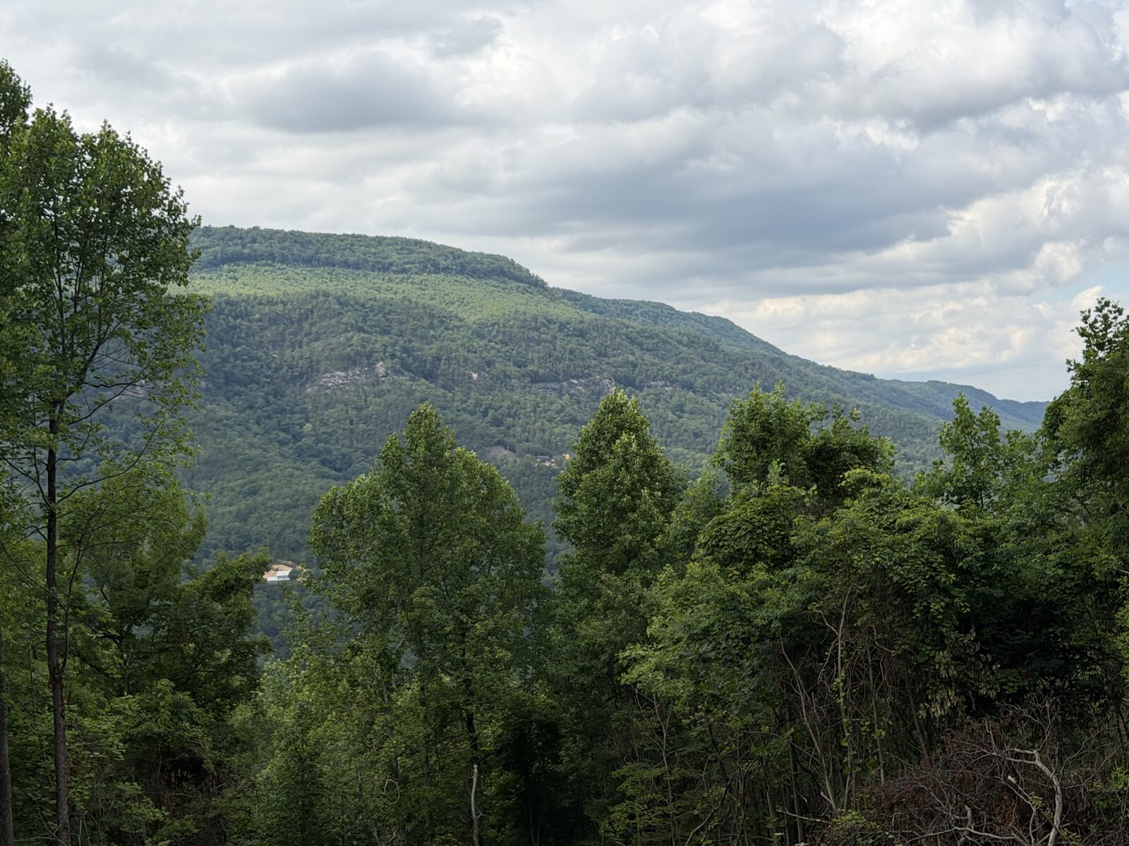 Long-range view of the Smoky Mountains from a newly cleared building site