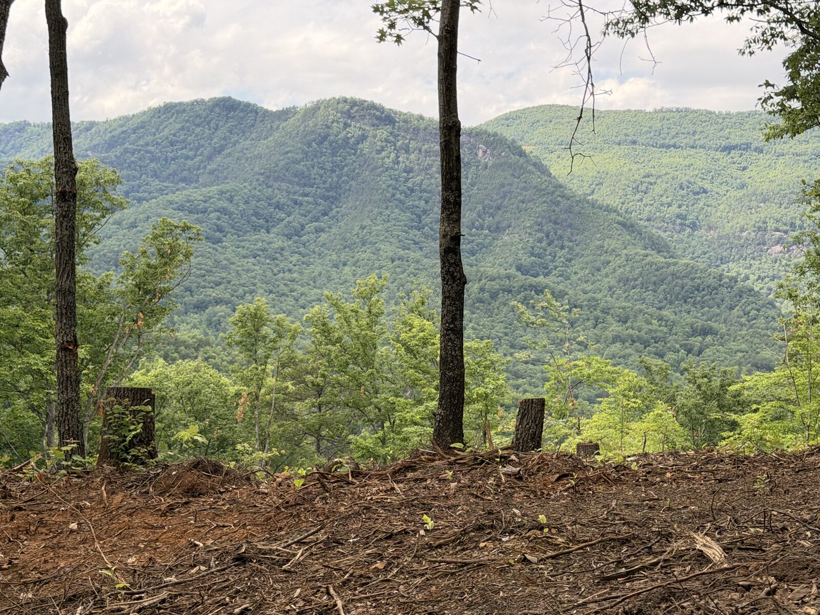 Ridge-top clearing looking across a valley to layered Smoky Mountain ridges