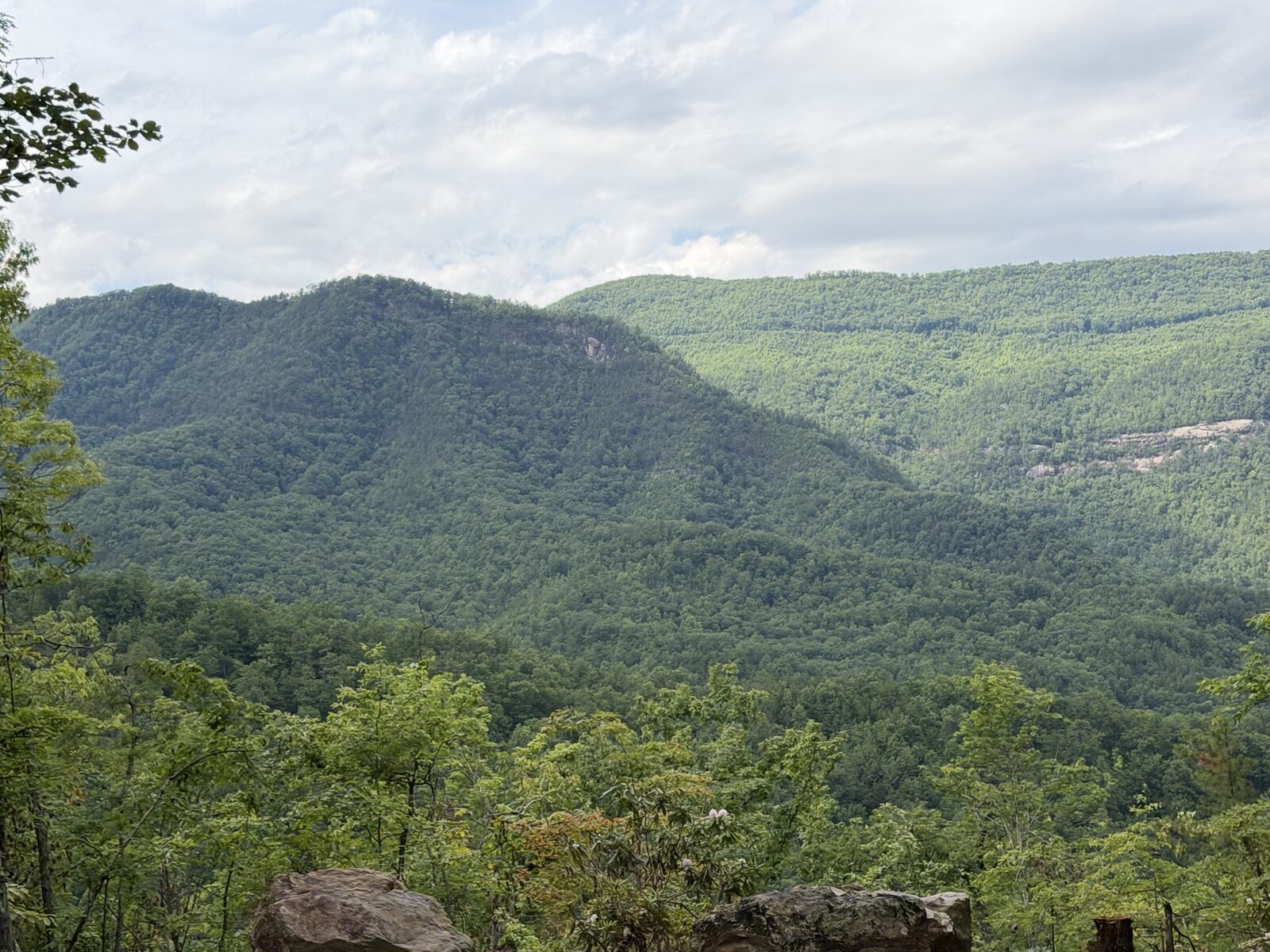 Panoramic view of the Smoky Mountains from a prepared homesite