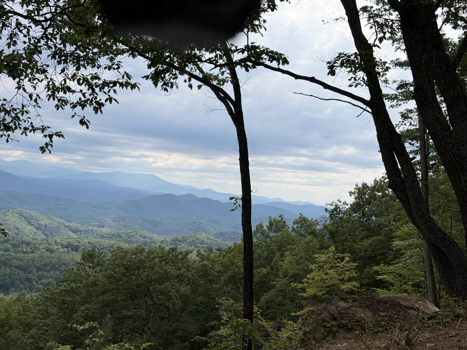 Distant Smoky Mountain peaks visible from a cleared ridge, with hardwood trees framing the horizon