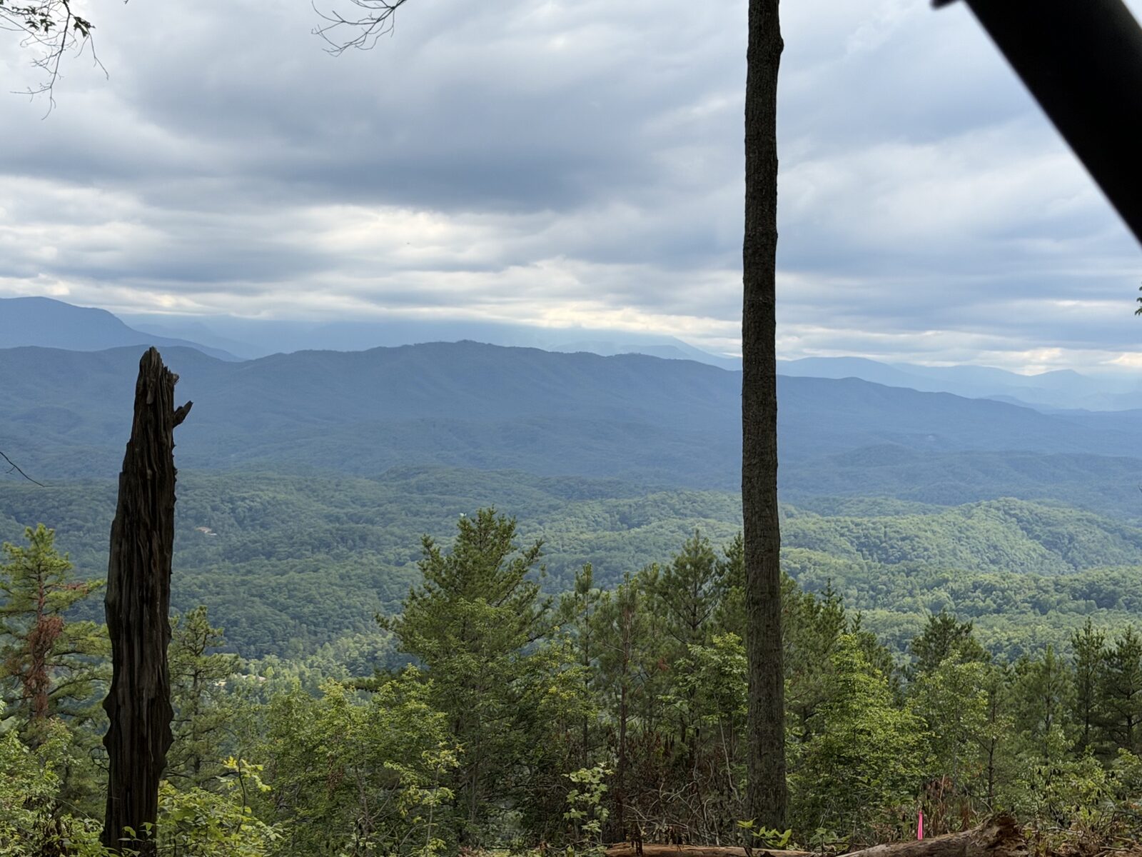 Wide Smoky Mountain vista from a cleared building site, with tall pines and a weathered snag left for wildlife