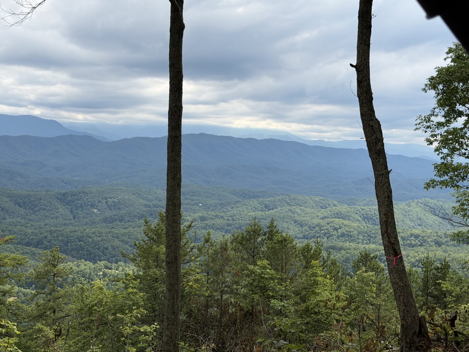 View of layered Smoky Mountain ridges from a mid-elevation building site
