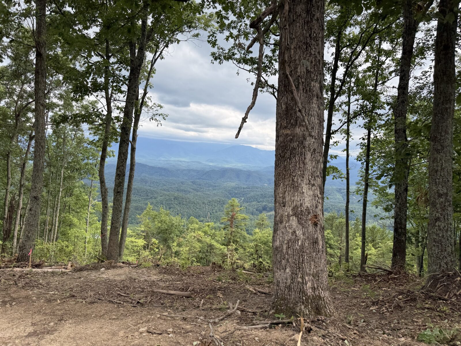 Cleared overlook clearing on a ridge above the Smoky Mountains with mature trees intentionally left standing