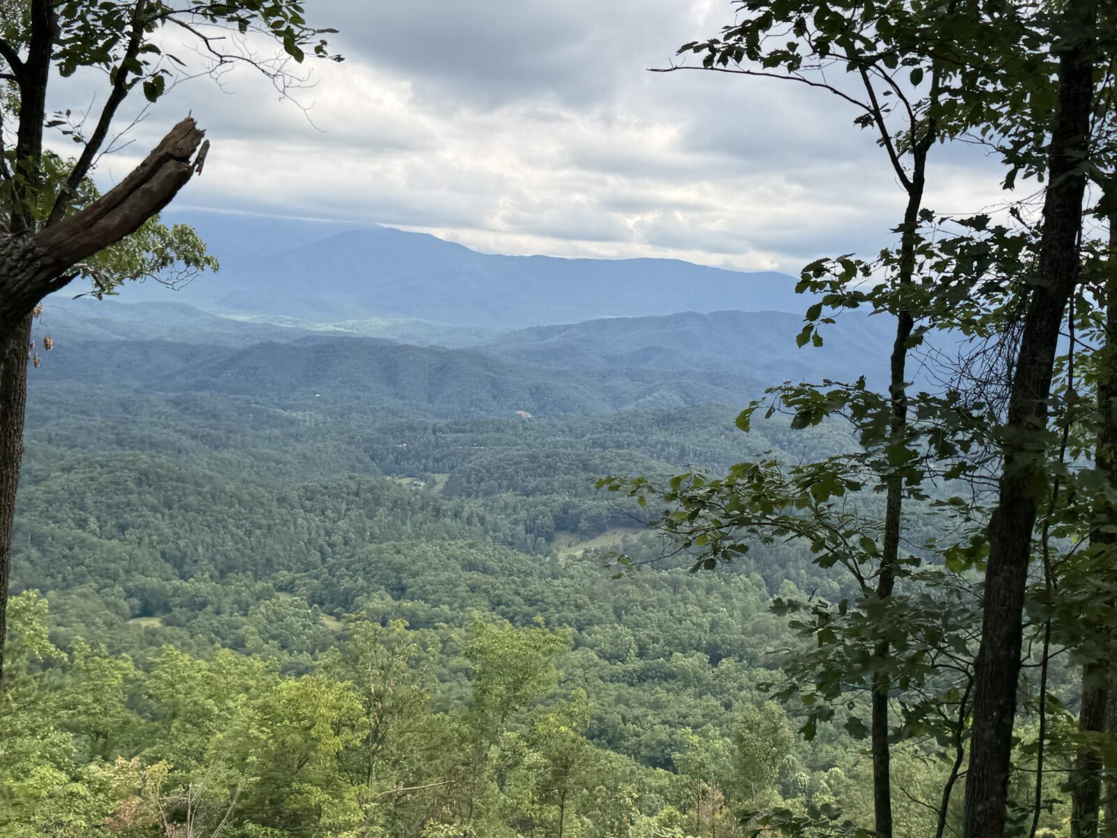 Wide overlook across an East Tennessee valley toward a solitary peak, framed by mature hardwoods
